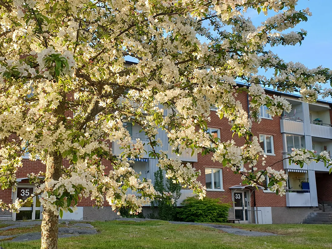 kontakt brf jarnet gruvlyckan karlstad